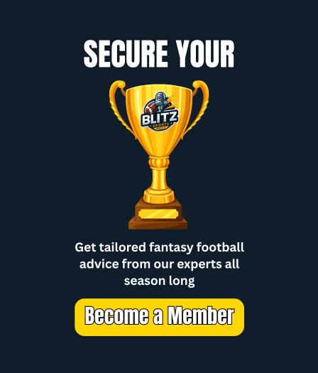 blitz fantasy football