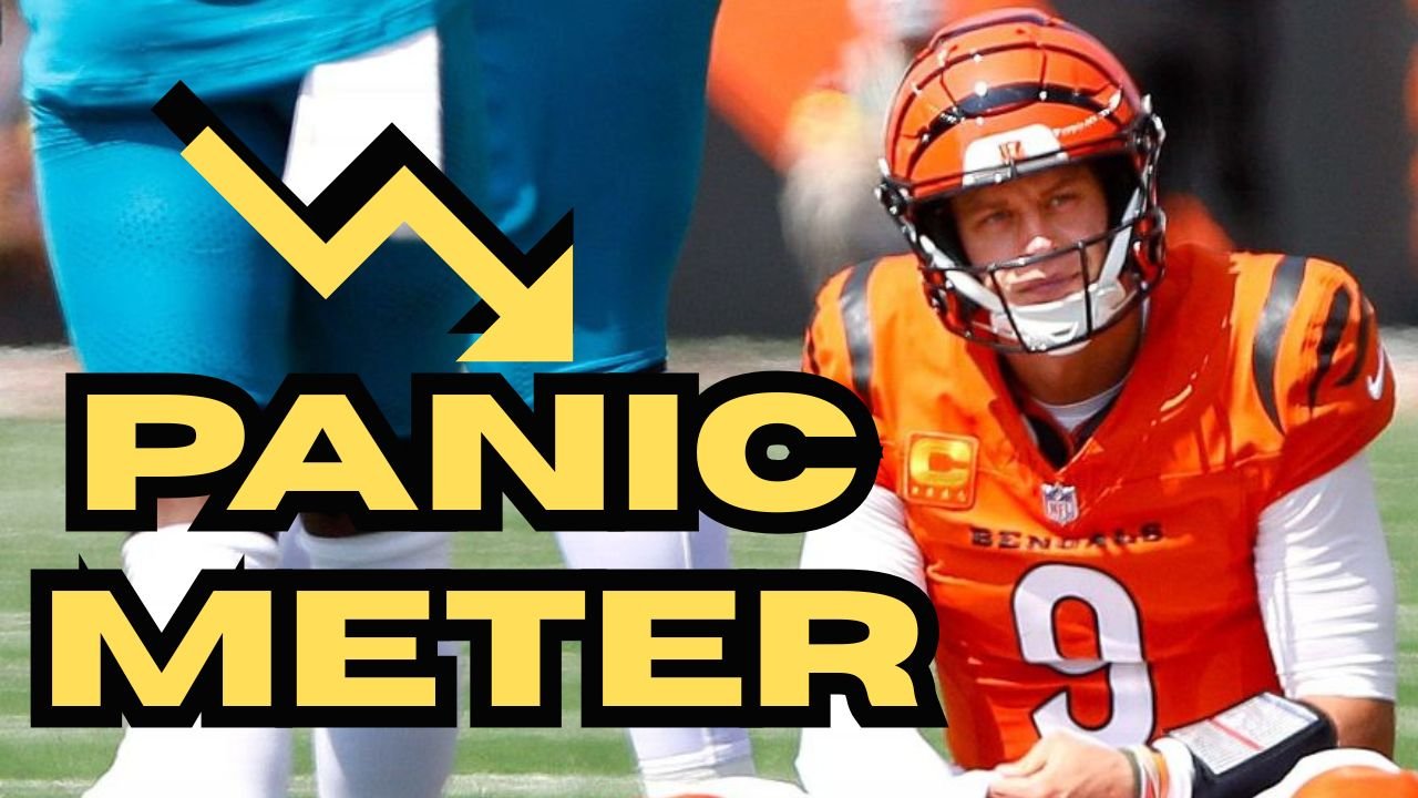 Panic Meter Week 2