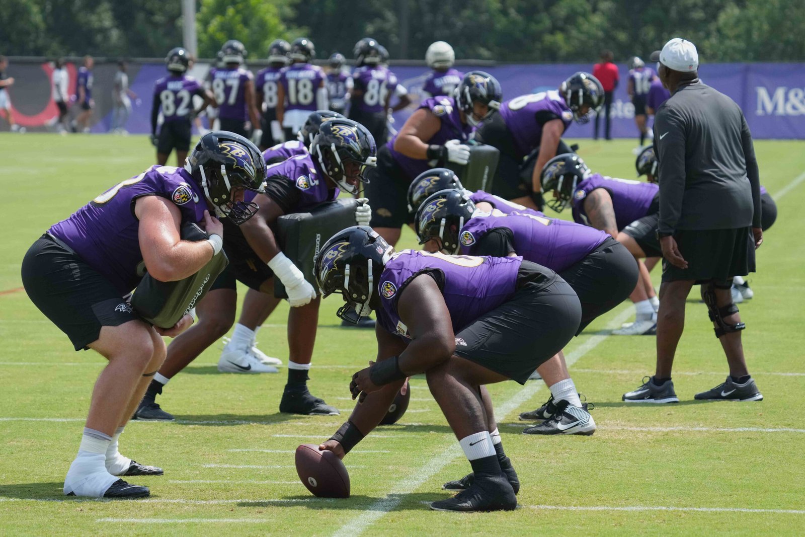 baltimore ravens training camp