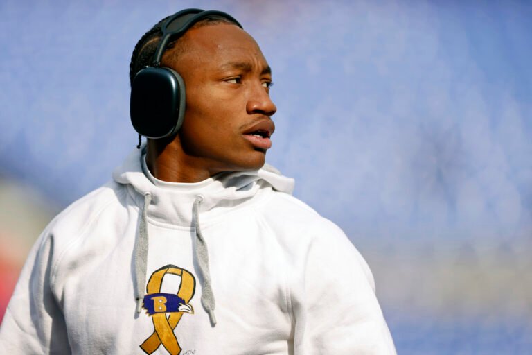 baltimore ravens zay flowers