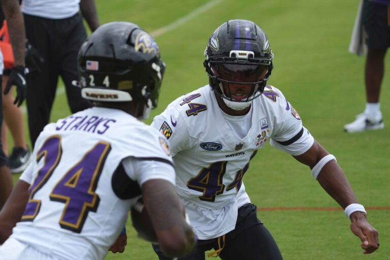 baltimore ravens training camp
