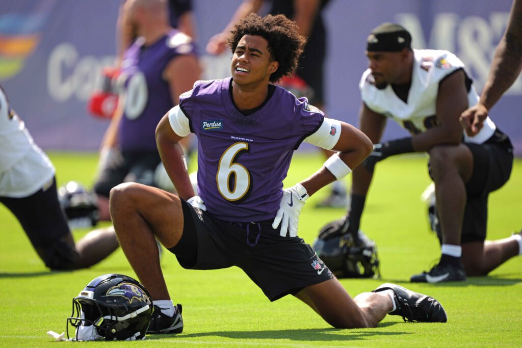 baltimore ravens