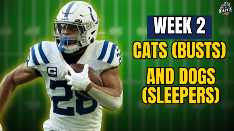 Fantasy Football Sleepers and Busts